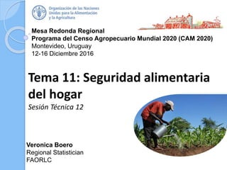 Mesa Redonda Regional
Programa del Censo Agropecuario Mundial 2020 (CAM 2020)
Montevideo, Uruguay
12-16 Diciembre 2016
Tema 11: Seguridad alimentaria
del hogar
Sesión Técnica 12
Veronica Boero
Regional Statistician
FAORLC
 