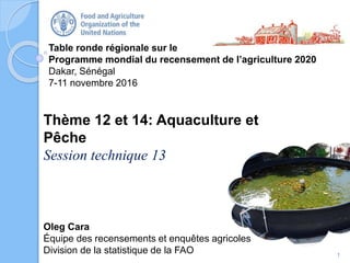 Table ronde régionale sur le
Programme mondial du recensement de l’agriculture 2020
Dakar, Sénégal
7-11 novembre 2016
Oleg Cara
Équipe des recensements et enquêtes agricoles
Division de la statistique de la FAO
Thème 12 et 14: Aquaculture et
Pêche
Session technique 13
1
 