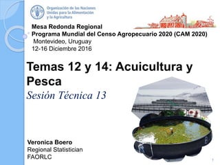Mesa Redonda Regional
Programa Mundial del Censo Agropecuario 2020 (CAM 2020)
Montevideo, Uruguay
12-16 Diciembre 2016
Veronica Boero
Regional Statistician
FAORLC
Temas 12 y 14: Acuicultura y
Pesca
Sesión Técnica 13
1
 