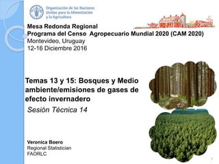 Mesa Redonda Regional
Programa del Censo Agropecuario Mundial 2020 (CAM 2020)
Montevideo, Uruguay
12-16 Diciembre 2016
Veronica Boero
Regional Statistician
FAORLC
Temas 13 y 15: Bosques y Medio
ambiente/emisiones de gases de
efecto invernadero
Sesión Técnica 14
1
 