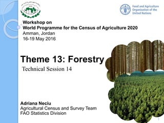 Workshop on
World Programme for the Census of Agriculture 2020
Amman, Jordan
16-19 May 2016
Adriana Neciu
Agricultural Census and Survey Team
FAO Statistics Division
Theme 13: Forestry
Technical Session 14
1
 