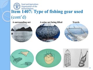 Surrounding Net Census Themes 12 and 14 – Aquaculture and Fisheries | PPTX
