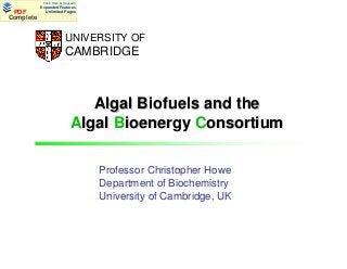 Click Here & Upgrade

PDF
Complete

Expanded Features
Unlimited Pages

Documents
UNIVERSITY OF

CAMBRIDGE

Algal Biofuels and the
Algal Bioenergy Consortium
Professor Christopher Howe
Department of Biochemistry
University of Cambridge, UK

 
