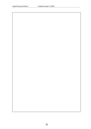 Institut Príncep de Girona   Treball de síntesi 1r d’ESO




                                         25
 