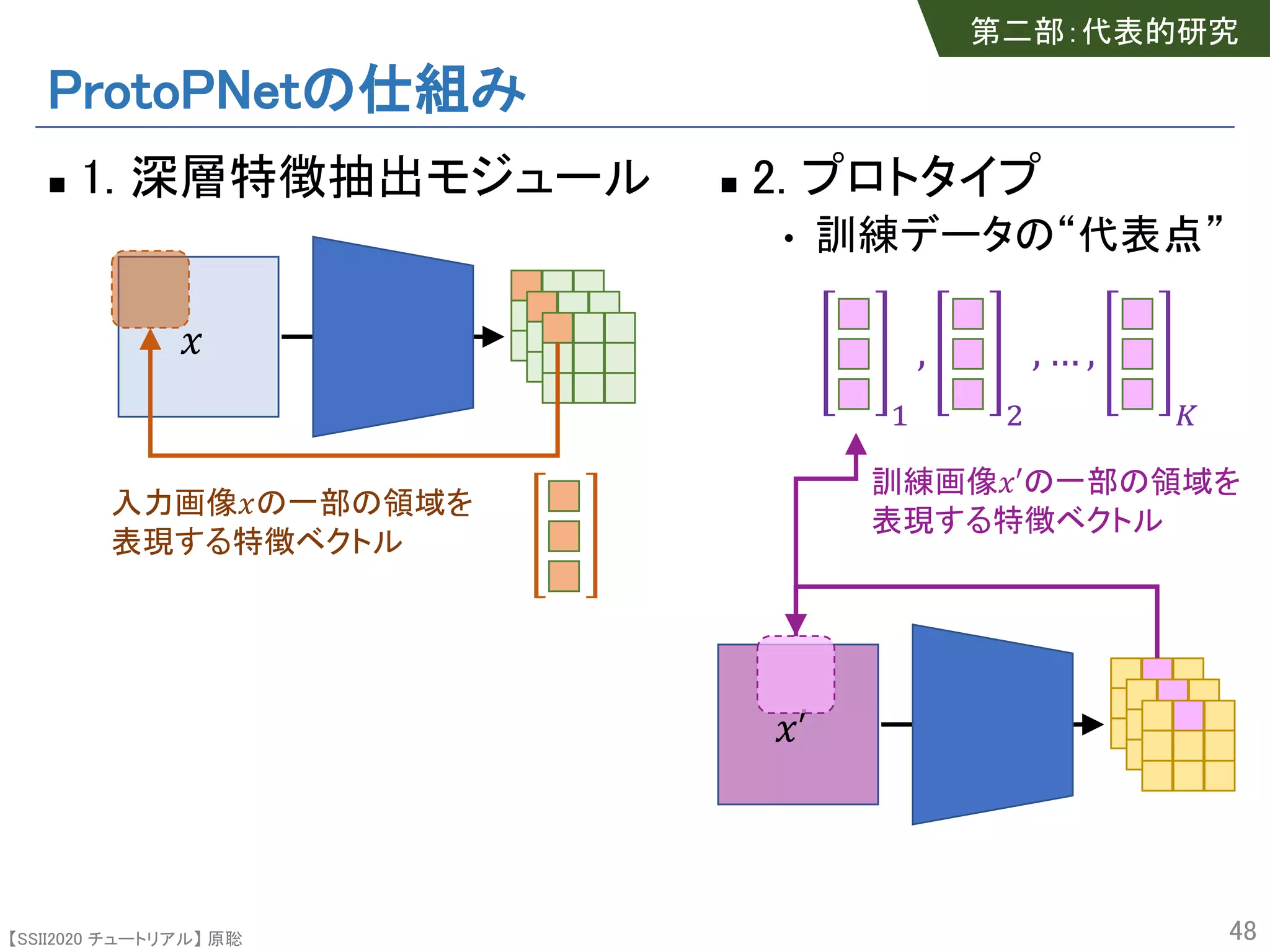 【SSII2020 チュートリアル】 原聡
ProtoPNetの仕組み
n 1. 深層特徴抽出モジュール
48
n 2. プロトタイプ
• 訓練データの“代表点”
!
,
#
, … ,
%
&′
訓練画像&′の一部の領域を
表現する特徴ベクトル
&
入力画像&の一部の領域を
表現する特徴ベクトル
第二部：代表的研究
 