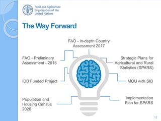 The Way Forward
12
Population and
Housing Census
2020
IDB Funded Project
FAO - Preliminary
Assessment - 2015
FAO - In-depth Country
Assessment 2017
Strategic Plans for
Agricultural and Rural
Statistics (SPARS)
MOU with SIB
Implementation
Plan for SPARS
 