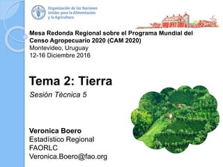 Mesa Redonda Regional sobre el Programa Mundial del
Censo Agropecuario 2020 (CAM 2020)
Montevideo, Uruguay
12-16 Diciembre 2016
Veronica Boero
Estadístico Regional
FAORLC
Veronica.Boero@fao.org
Tema 2: Tierra
Sesión Técnica 5
 
