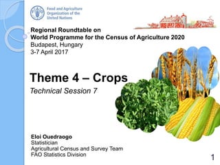 Regional Roundtable on
World Programme for the Census of Agriculture 2020
Budapest, Hungary
3-7 April 2017
Theme 4 – Crops
Technical Session 7
Eloi Ouedraogo
Statistician
Agricultural Census and Survey Team
FAO Statistics Division
1
 