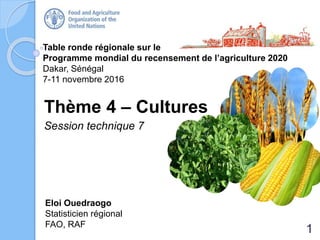 Table ronde régionale sur le
Programme mondial du recensement de l’agriculture 2020
Dakar, Sénégal
7-11 novembre 2016
Thème 4 – Cultures
Session technique 7
Eloi Ouedraogo
Statisticien régional
FAO, RAF
1
 