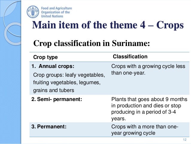 Suriname Crops