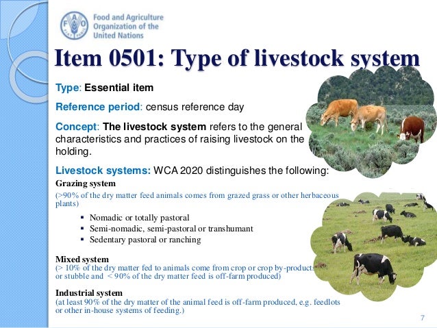 Census Theme 5 - Livestock : Technical Session 8