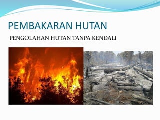 PEMBAKARAN HUTAN 
PENGOLAHAN HUTAN TANPA KENDALI 
 