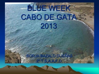 BORJA BAZALO DUEÑAS
2º T.S.A.A.F.D.
BLUE WEEK
CABO DE GATA
2013
 