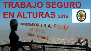 TRABAJO SEGURO
EN ALTURAS 2016
 