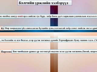 Үржил Бэлгийн   бус   Бэлгийн Нэг эст (Митоз, шизогони, нахиалах, спор  үүсгэх ) Олон эст (Вегетатив, спор  үү сгэх, хэсэглэгдэх ) Нэг эст (Конъюгаци, копуляци) Олон эст  (ү р тогтолтоор,  ү р тогтохг ү й ) 