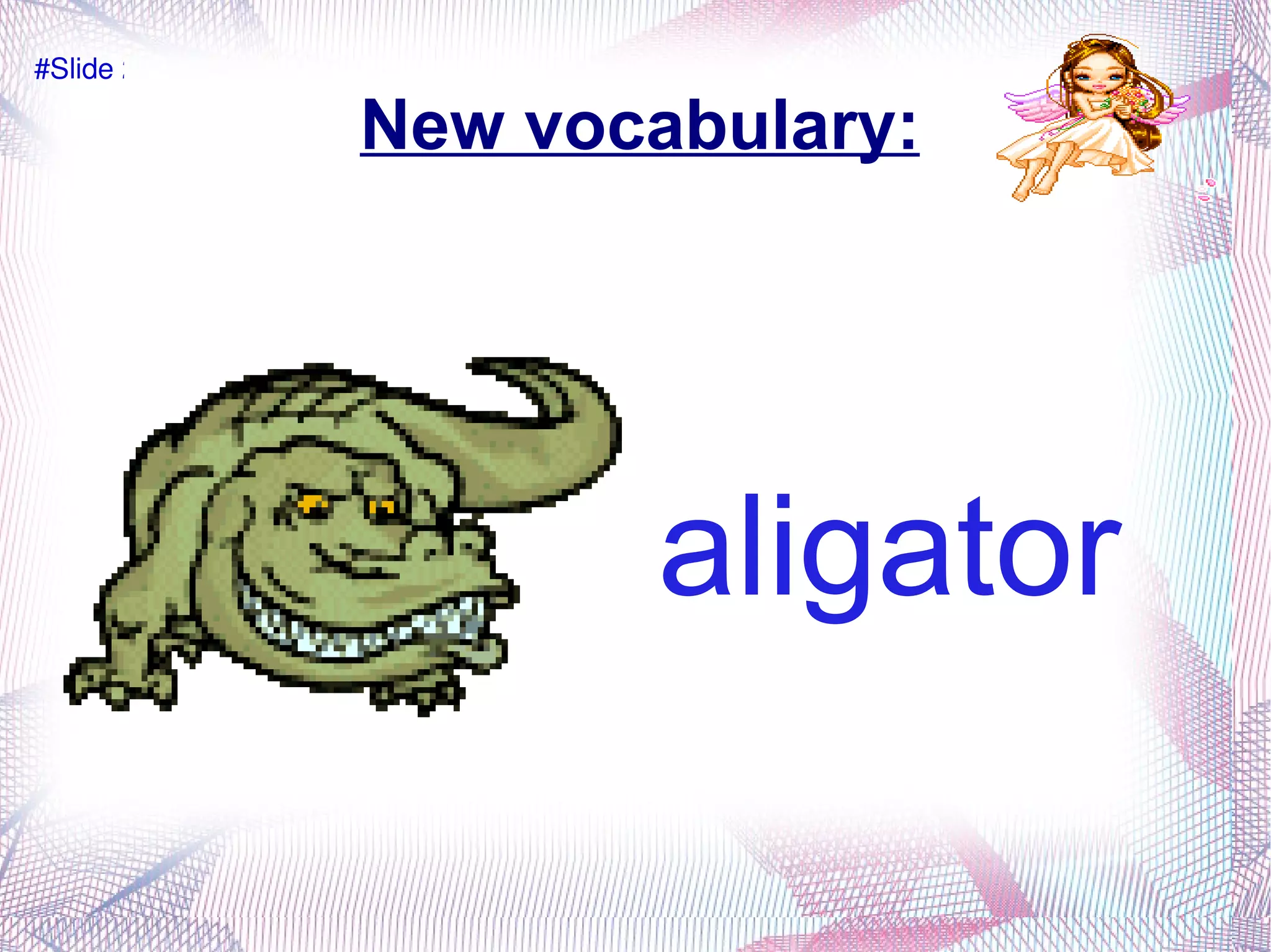 New vocabulary: aligator #Slide 23 