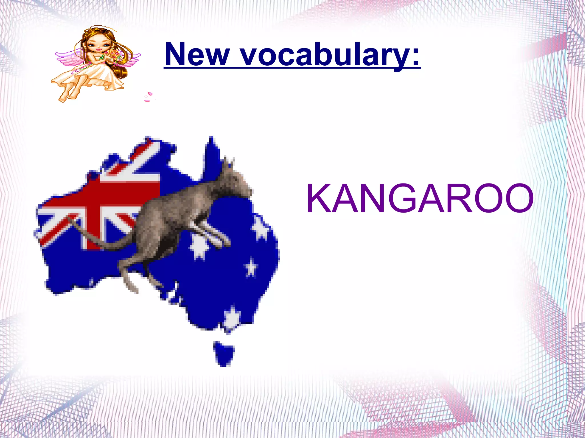 New vocabulary: KANGAROO 