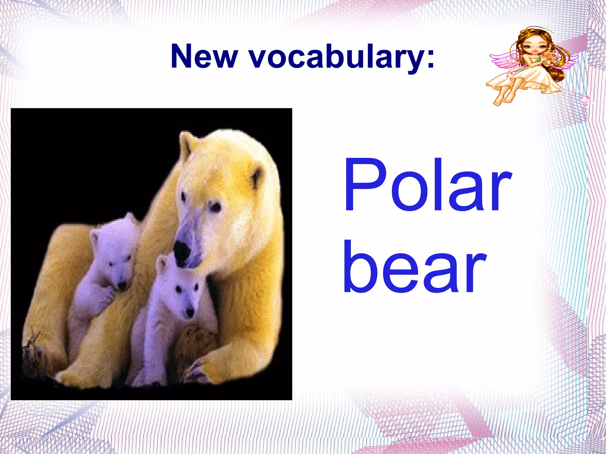 New vocabulary: Polar bear 