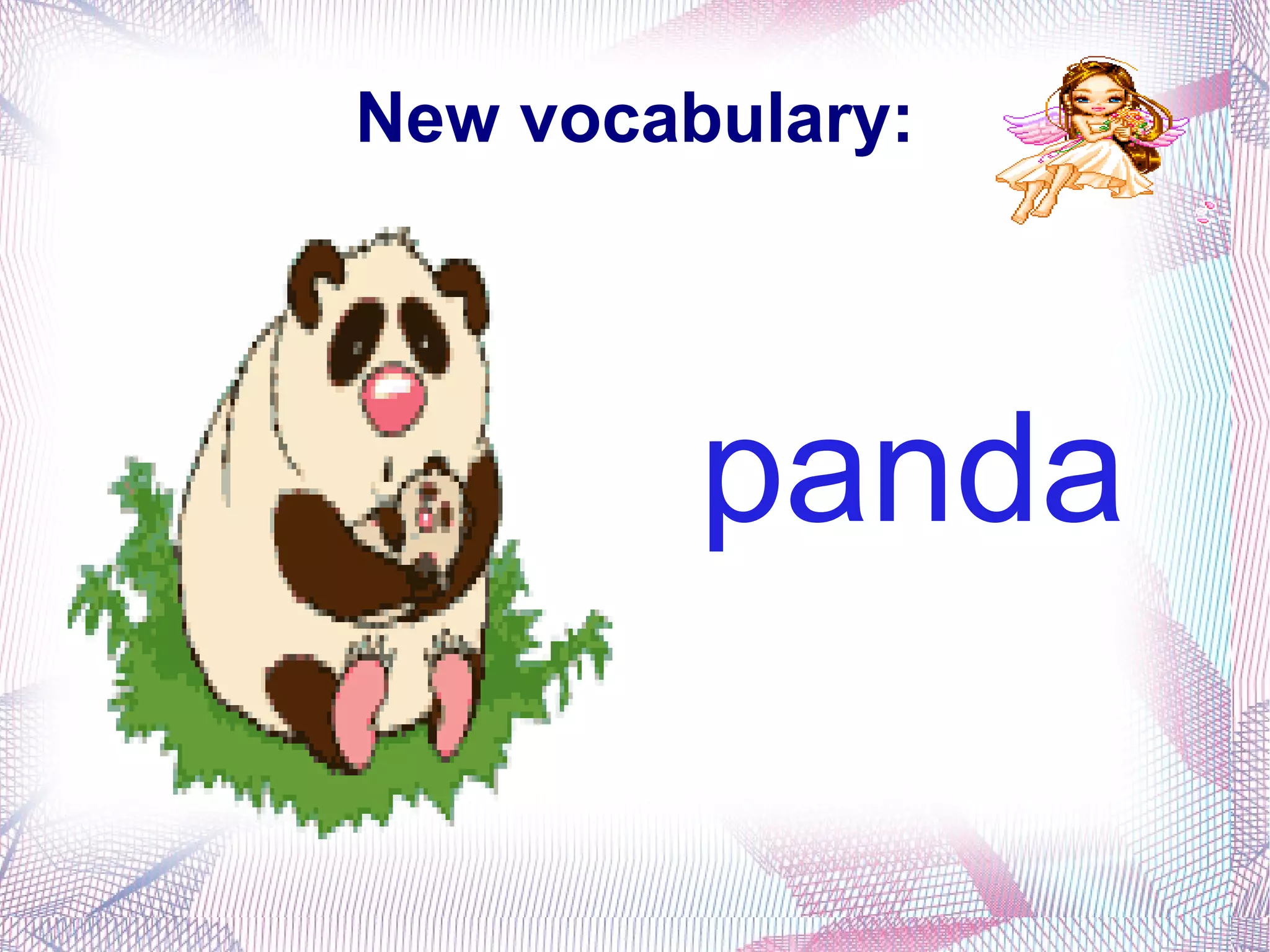 New vocabulary: panda 