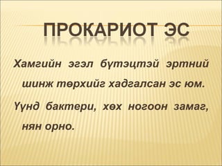 Хамгийн эгэл бүтэцтэй эртний шинж төрхийг хадгалсан эс юм.  Үүнд бактери, хөх ногоон замаг, нян орно.  