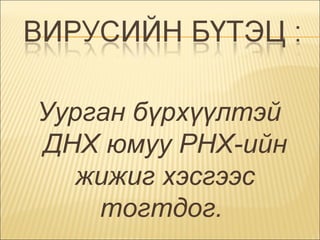 Уурган бүрхүүлтэй ДНХ юмуу РНХ-ийн жижиг хэсгээс тогтдог.  
