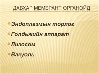 Эндоплазмын торлог  Голдьжийн аппарат  Лизосом Вакуоль 