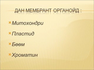 Митохондри  Пластид  Бөөм  Хроматин  