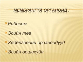 Рибосом  Эсийн төв  Хөдөлгөөний органойдууд  Эсийн оршихуйн  
