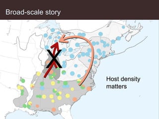 Broad-scale story X Host density matters 