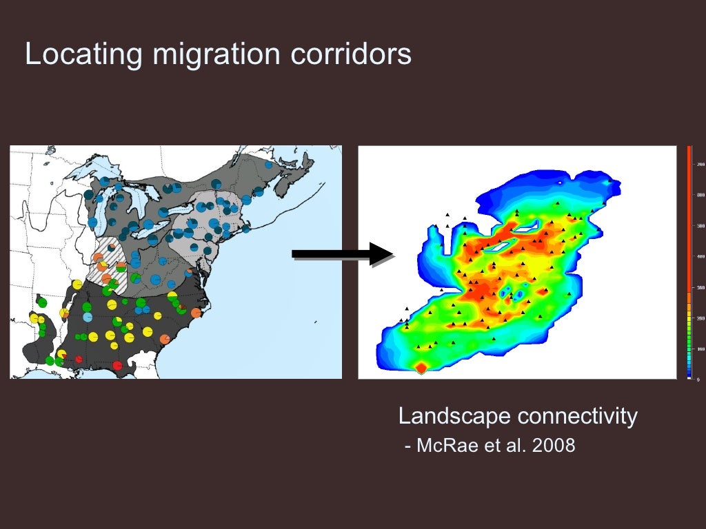 Locating migration corridors Landscape connectivity