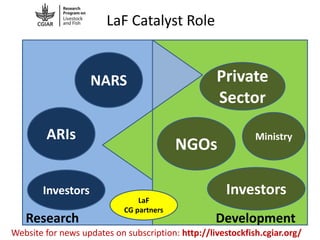 LaF Catalyst Role

NARS
ARIs

Investors

Research

Private
Sector
NGOs

LaF
CG partners

Ministry

Investors
Development

Website for news updates on subscription: http://livestockfish.cgiar.org/

 