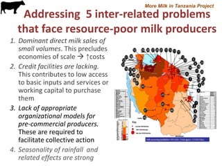 More Milk in Tanzania: Entry points for extending the frontiers of dairy value chains in Tanzania through hubs