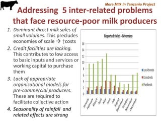 More Milk in Tanzania: Entry points for extending the frontiers of dairy value chains in Tanzania through hubs