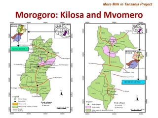 More Milk in Tanzania: Entry points for extending the frontiers of dairy value chains in Tanzania through hubs