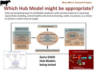 More Milk in Tanzania: Entry points for extending the frontiers of dairy value chains in Tanzania through hubs