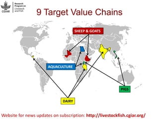 More Milk in Tanzania: Entry points for extending the frontiers of dairy value chains in Tanzania through hubs