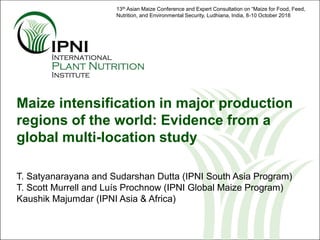 Maize intensification in major production
regions of the world: Evidence from a
global multi-location study
T. Satyanarayana and Sudarshan Dutta (IPNI South Asia Program)
T. Scott Murrell and Luís Prochnow (IPNI Global Maize Program)
Kaushik Majumdar (IPNI Asia & Africa)
13th Asian Maize Conference and Expert Consultation on “Maize for Food, Feed,
Nutrition, and Environmental Security, Ludhiana, India, 8-10 October 2018
 