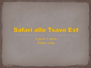 2 giorni 1 notte
Kiboko camp
 