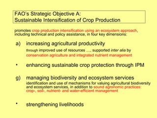 FAO’s Strategic Objective A:  Sustainable Intensification of Crop Production increasing agricultural productivity through  improved use of resources …, supported  inter alia  by  conservation agriculture and integrated nutrient management enhancing sustainable crop protection   through IPM  managing biodiversity and ecosystem services identification and use of mechanisms for valuing agricultural biodiversity and ecosystem services, in addition to  sound agronomic practices: crop-, soil-, nutrient- and water-efficient management strengthening livelihoods   promotes  crop production intensification using an ecosystem approach , including technical and policy assistance, in four key dimensions:  