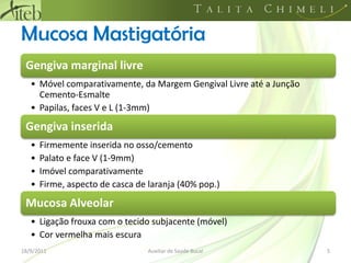 Mucosa Mastigatória18/09/20115Auxiliar de Saúde Bucal