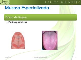 Mucosa Especializada18/09/20117Auxiliar de Saúde Bucal