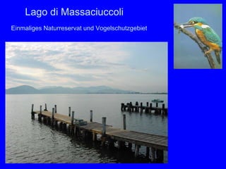 Lago di Massaciuccoli
Einmaliges Naturreservat und Vogelschutzgebiet
 