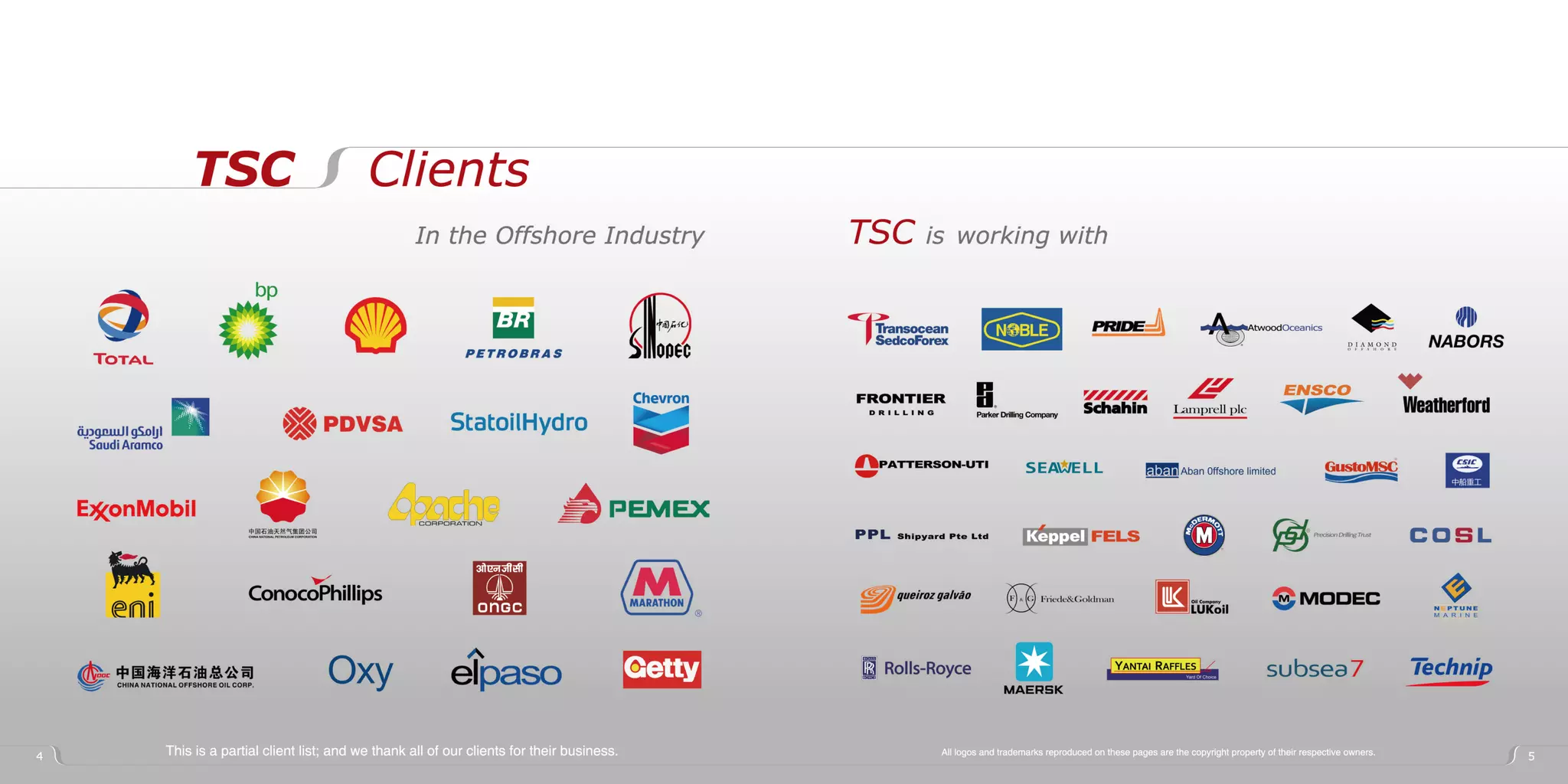 TSC Offshore Group 2009