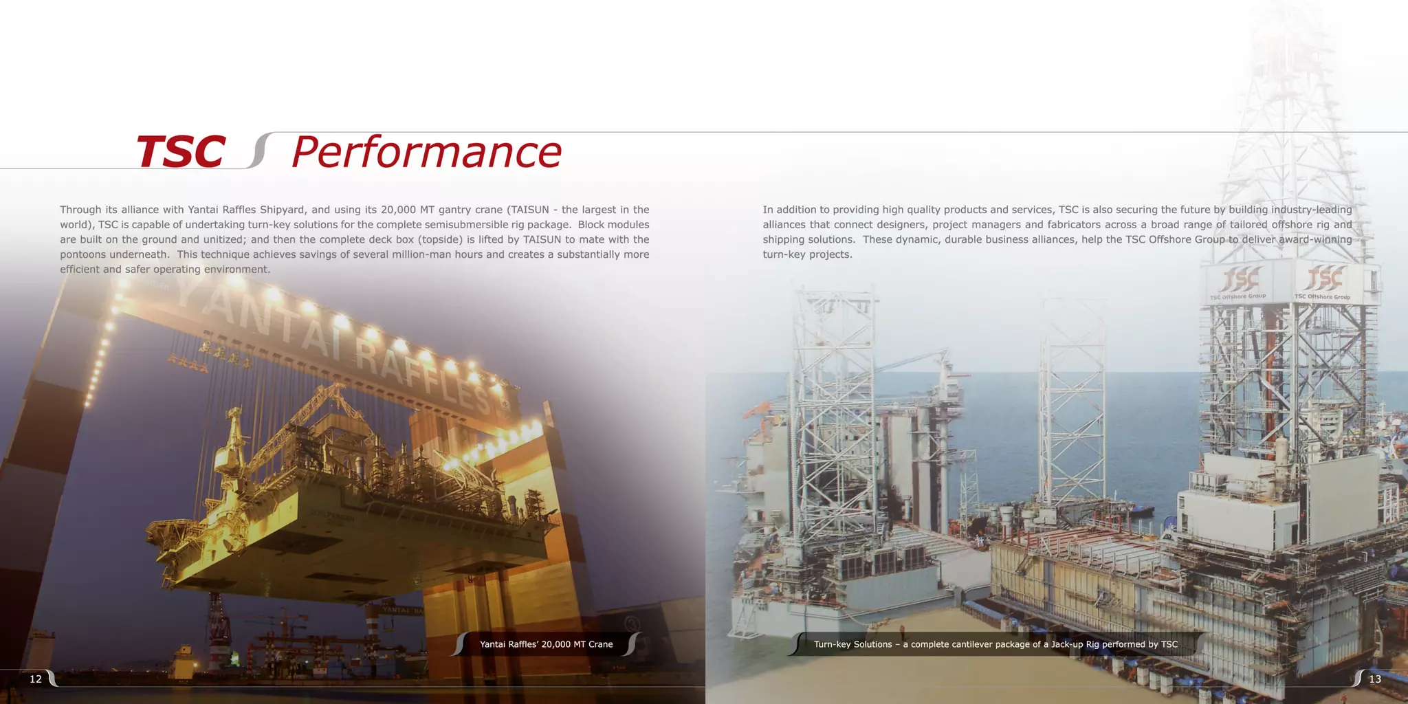 TSC Offshore Group 2009