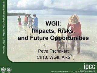WGII:
Impacts, Risks,
and Future Opportunities
Petra Tschakert
Ch13, WGII, AR5
 