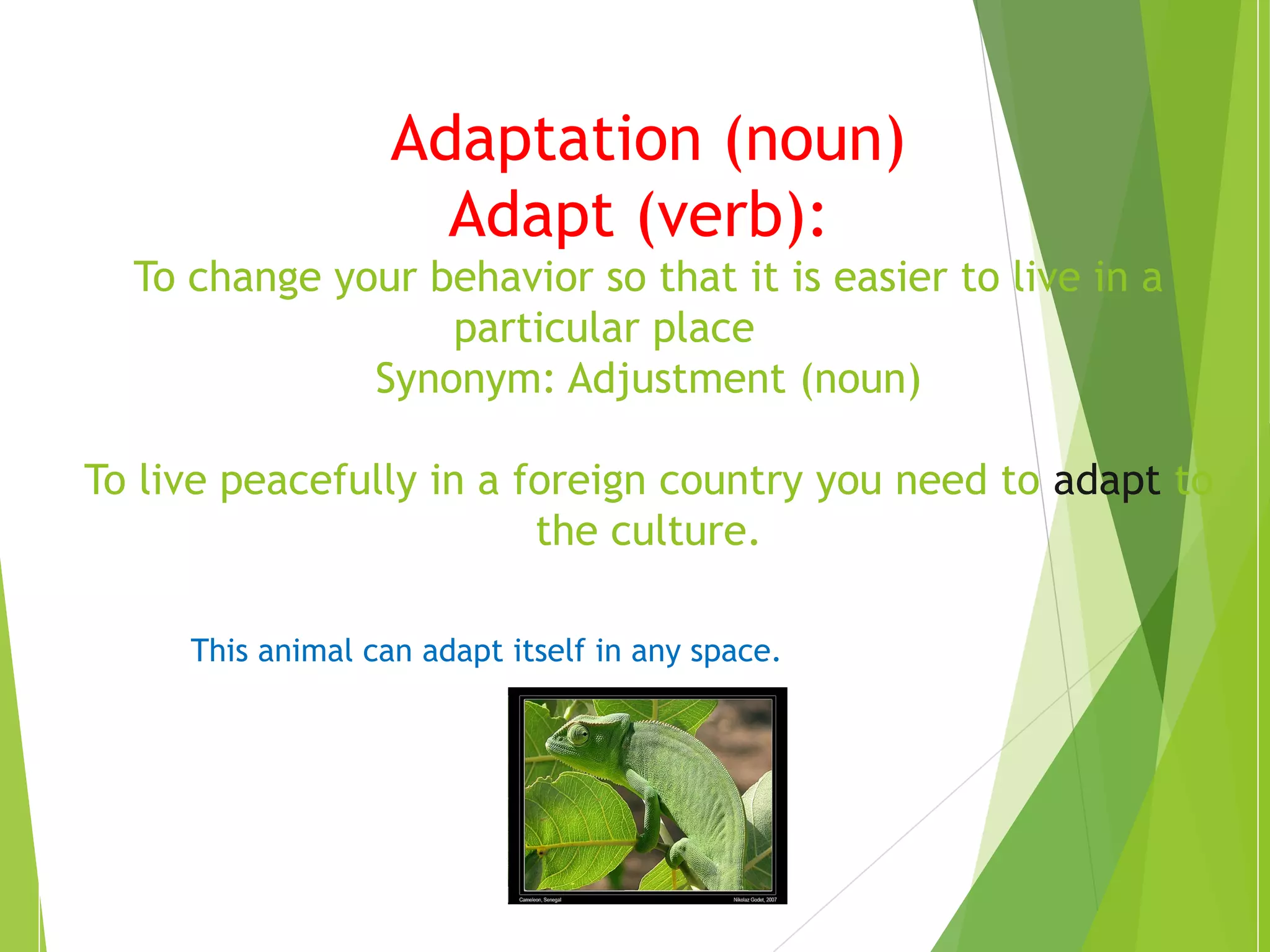 Adaptation (noun) 
Adapt (verb): 
To change your behavior so that it is easier to live in a 
particular place 
Synonym: Adjustment (noun) 
To live peacefully in a foreign country you need to adapt to 
the culture. 
This animal can adapt itself in any space. 
 
