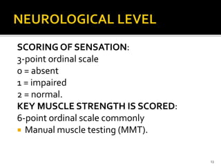 SPINAL CORD INJURIES | PPTX