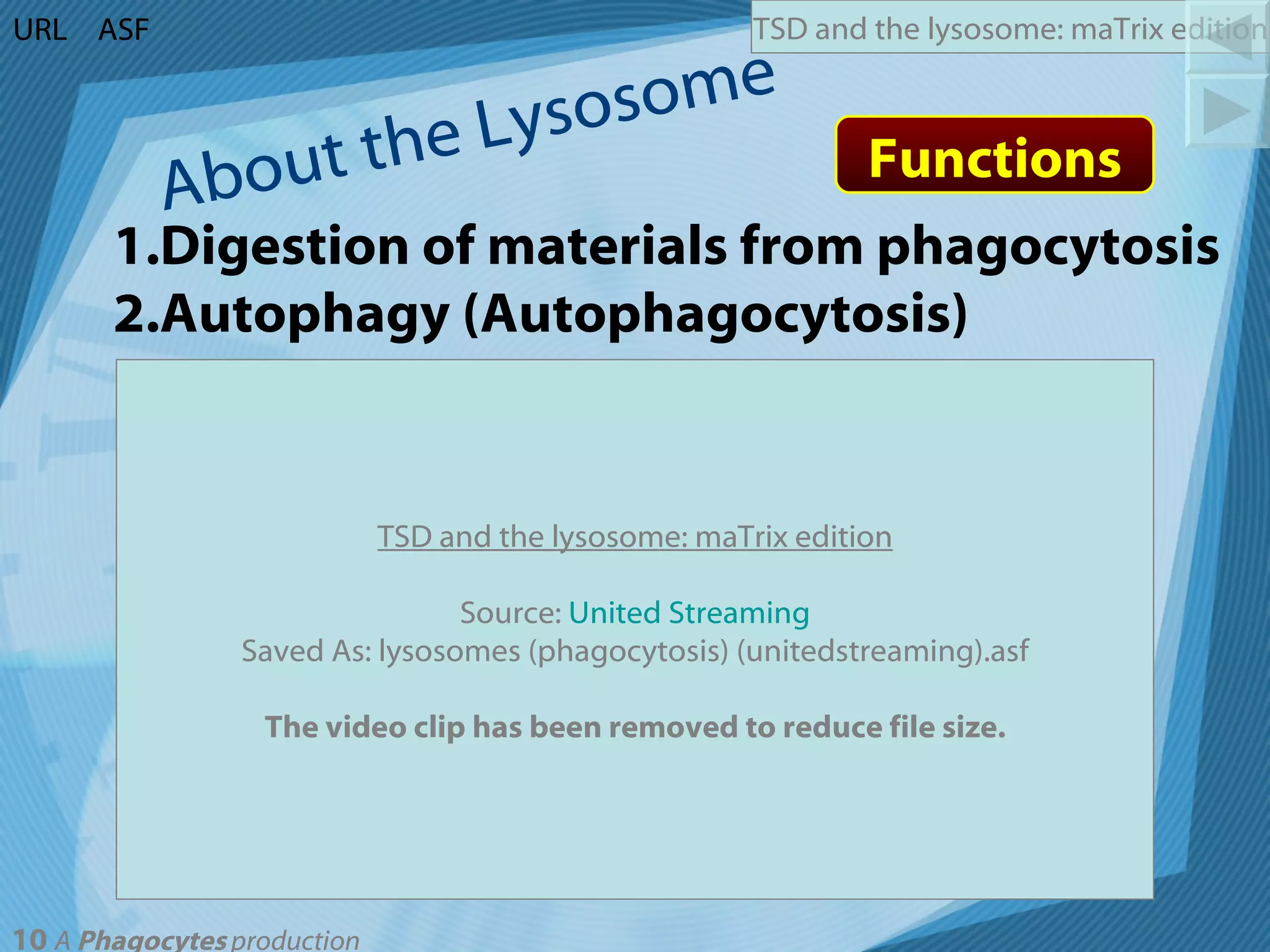 About the Lysosome Functions 1.Digestion of materials from phagocytosis 2.Autophagy (Autophagocytosis) URL ASF TSD and the lysosome: maTrix edition Source:  United Streaming Saved As: lysosomes (phagocytosis) (unitedstreaming).asf The video clip has been removed to reduce file size. 