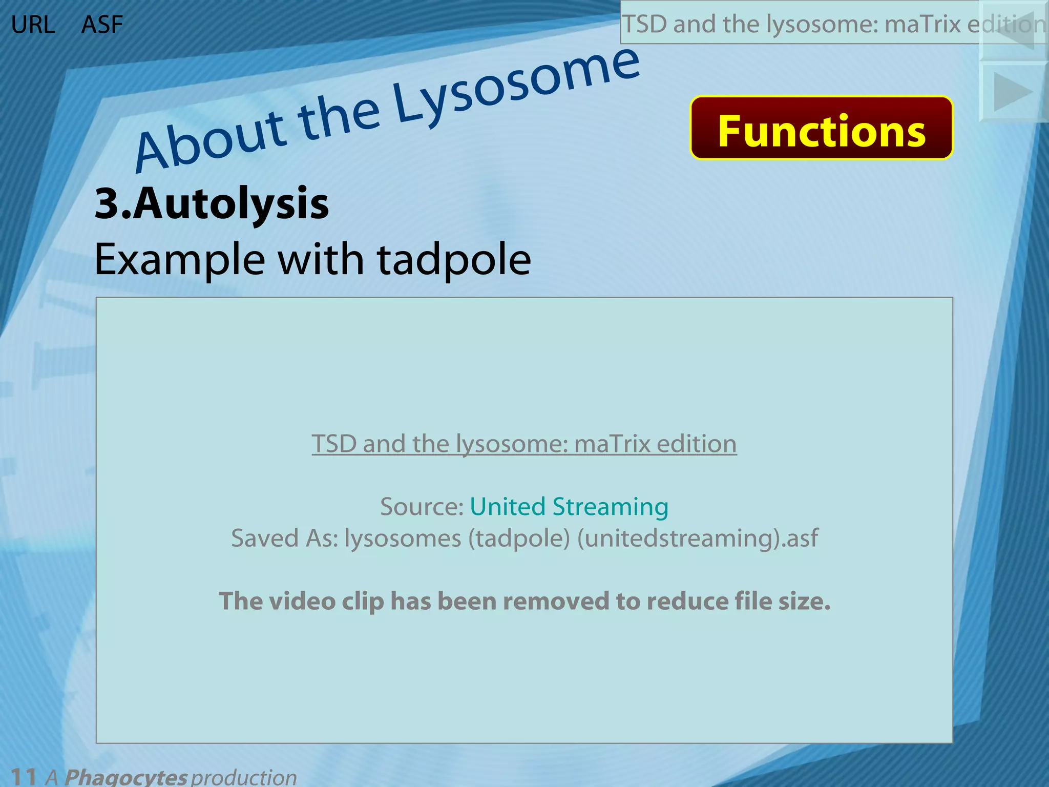 About the Lysosome Functions 3.Autolysis Example with tadpole URL ASF TSD and the lysosome: maTrix edition Source:  United Streaming Saved As: lysosomes (tadpole) (unitedstreaming).asf The video clip has been removed to reduce file size. 