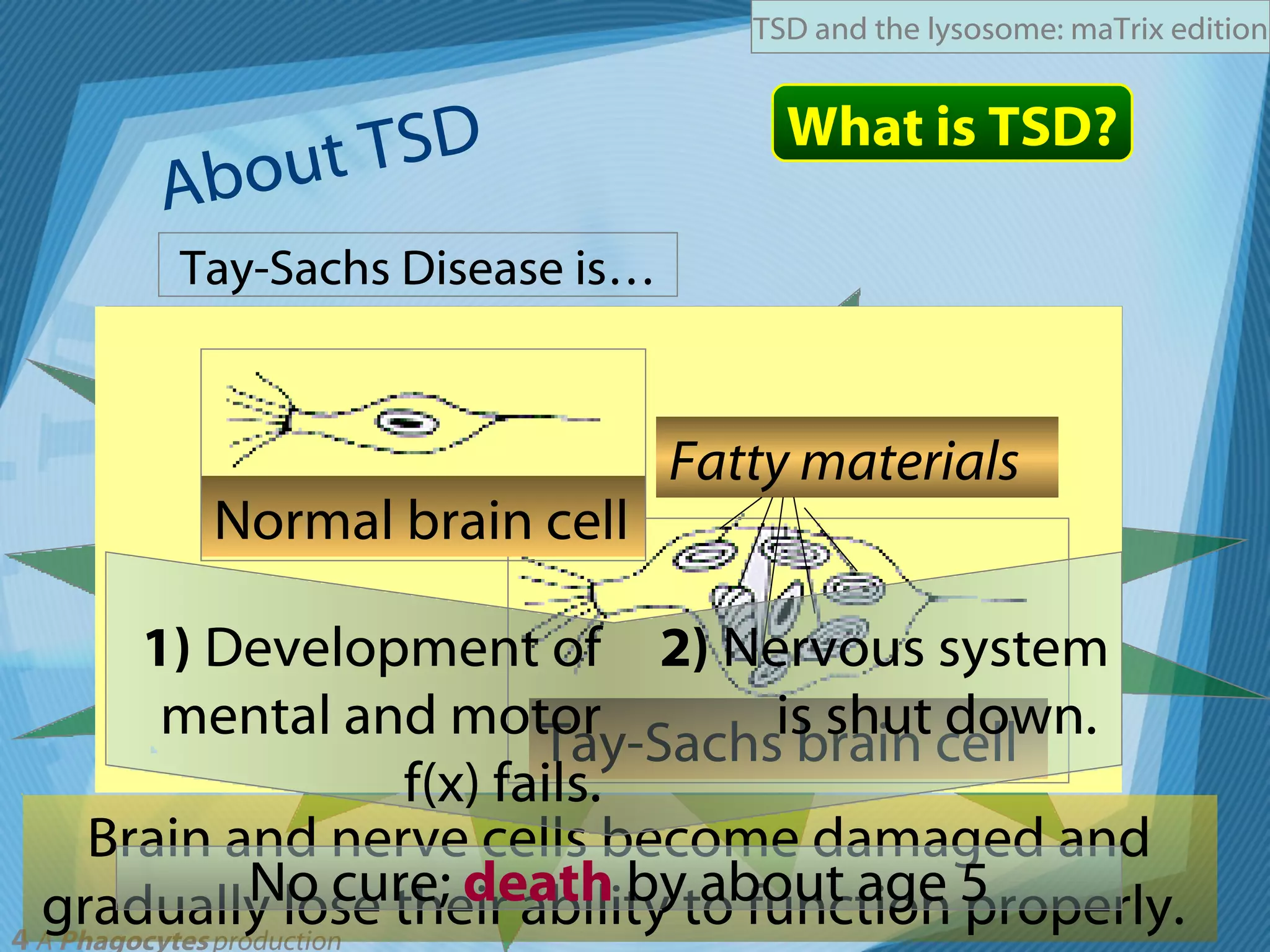 Brain and nerve cells become damaged and gradually lose their ability to function properly.  About TSD What is TSD? Genetic disorder caused by a deficient enzyme which results in the extreme accumulation of a fatty substance in the nervous system. No cure;  death  by about age 5 hex-A ganglioside GM2 Tay-Sachs Disease is… the lysosomes don’t contain a certain enzyme to break down a certain fat… a lysosomal storage disease! Fatty materials Normal brain cell Tay-Sachs brain cell 1)  Development of mental and motor f(x) fails. 2)  Nervous system is shut down.  